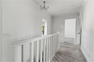 Photo 39- click for photo gallery